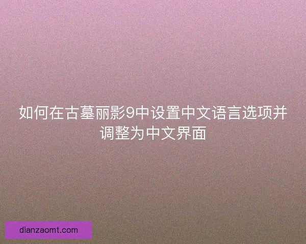 如何在古墓丽影9中设置中文语言选项并调整为中文界面
