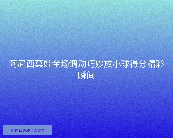 阿尼西莫娃全场调动巧妙放小球得分精彩瞬间